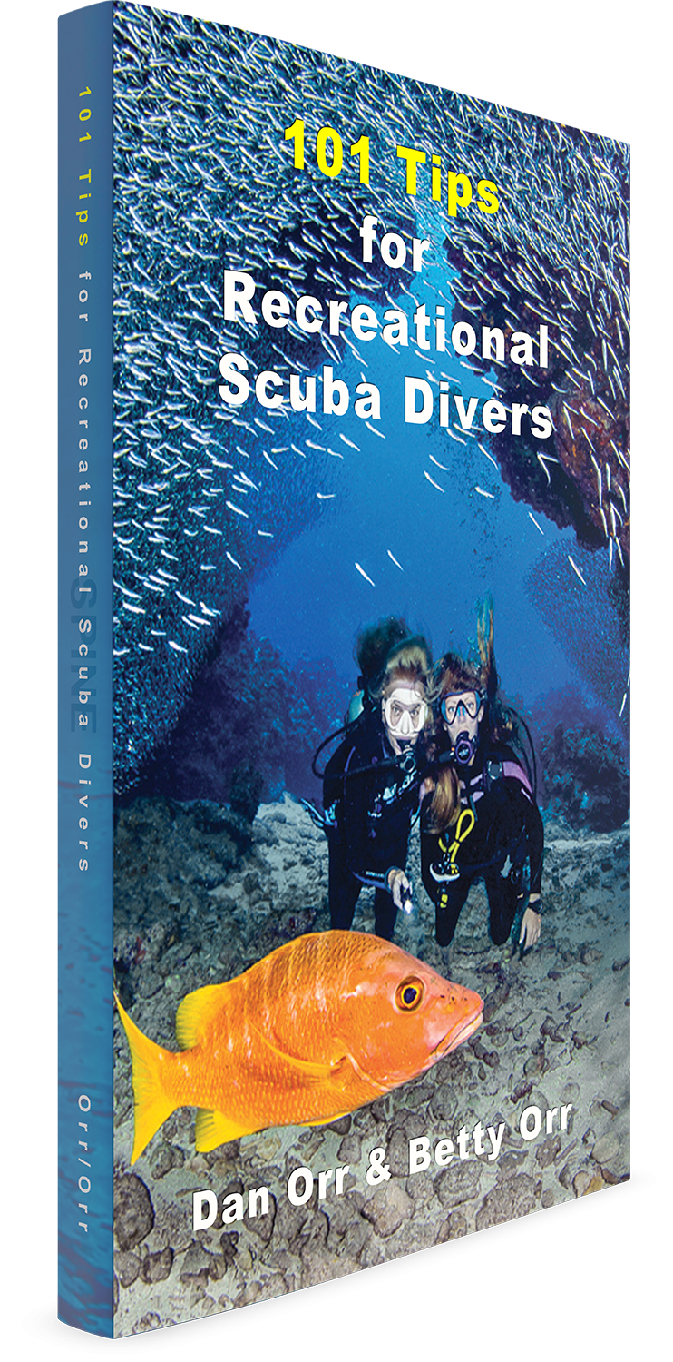 101 tips for recreational scuba divers 3d cover